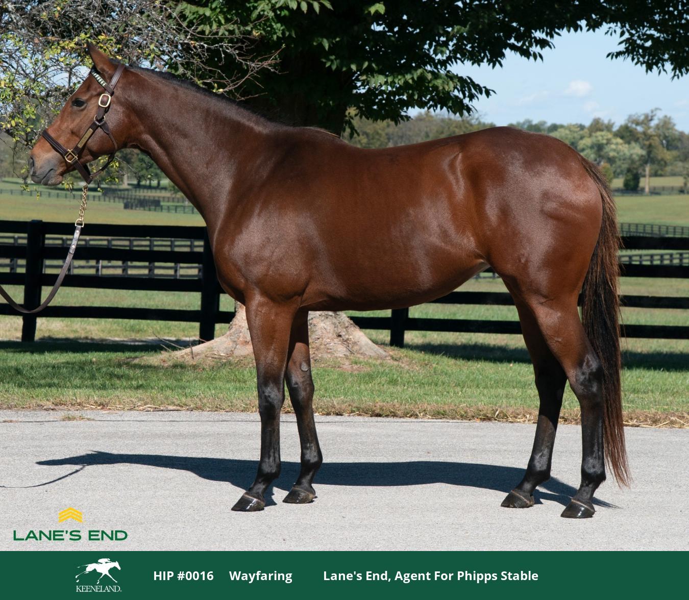 Phipps Stable Fan Blog – PHIPPS STABLE, a successful private family ...