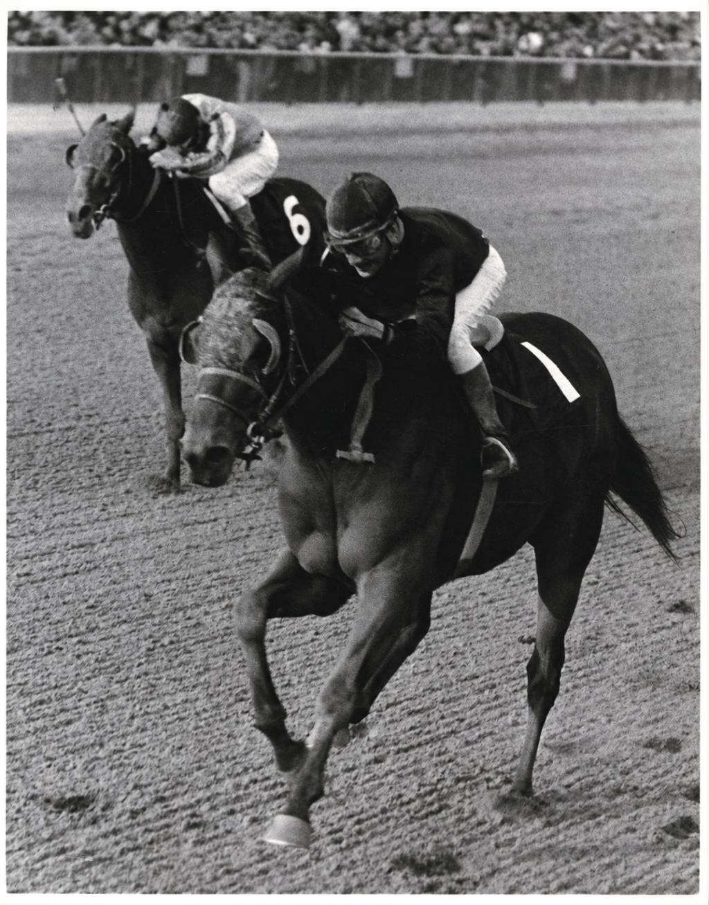 Buckpasser’s 1966 Jockey Club Gold Cup Win